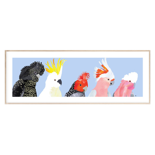 Australian Cockatoos Panorama Paper Print Wall Art