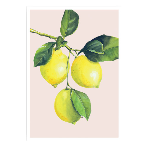 Lemons Paper Print Wall Art