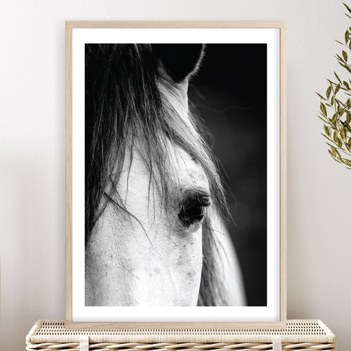 Horse Close-up Printed Wall Art