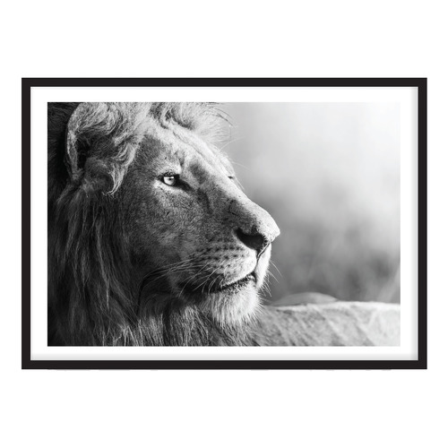 King of Beasts Printed Wall Art