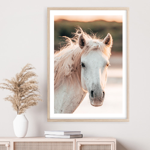 Brumby Printed Wall Art | Temple & Webster