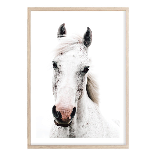 Dappled Printed Wall Art
