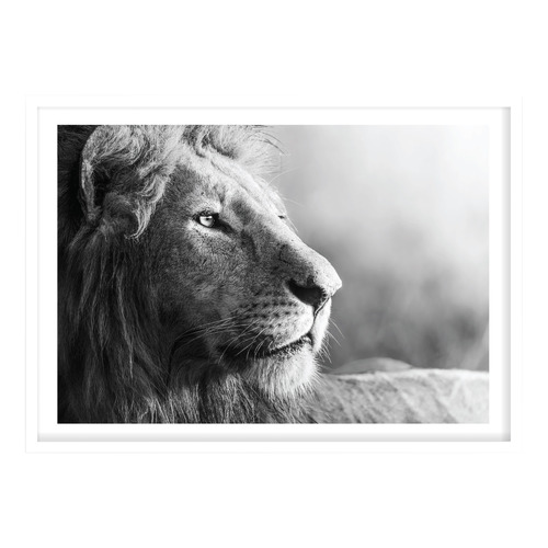 King of Beasts Printed Wall Art