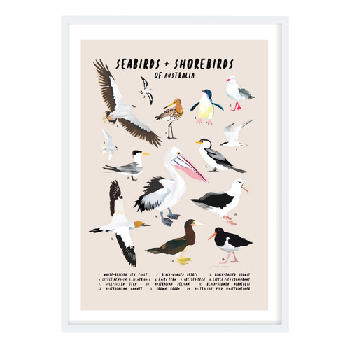 Seabirds & Shorebirds of Australia Printed Wall Art