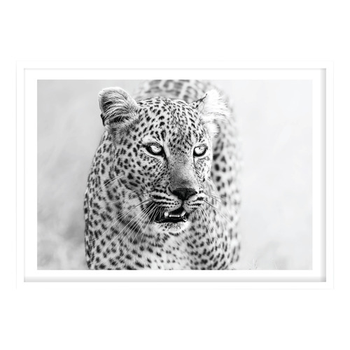 Majestic Eyes Printed Wall Art | Temple & Webster