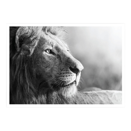 King of Beasts Printed Wall Art