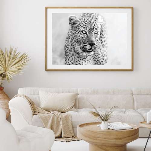 Majestic Eyes Printed Wall Art | Temple & Webster