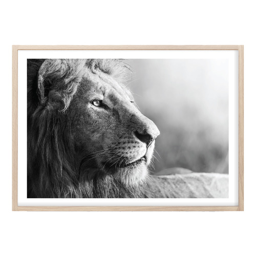 King of Beasts Printed Wall Art