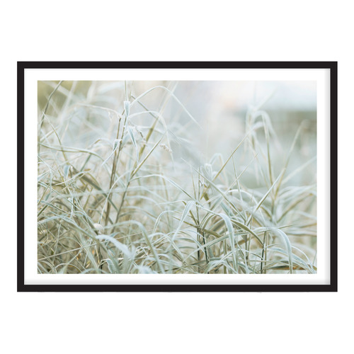 Naturally Organic Printed Wall Art