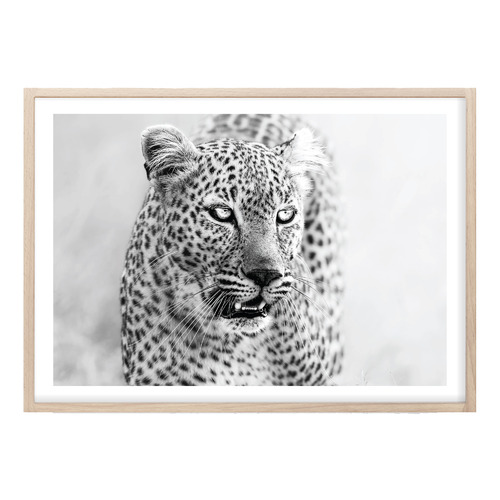 Majestic Eyes Printed Wall Art 