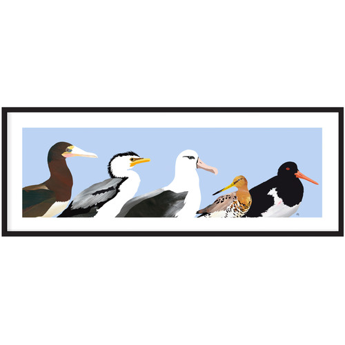 Australian Seabirds Panorama Printed Wall Art