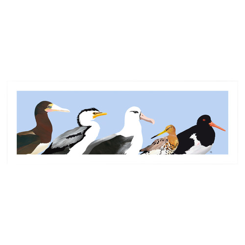 Australian Seabirds Panorama Printed Wall Art