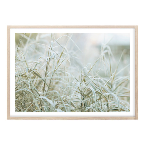 Naturally Organic Printed Wall Art