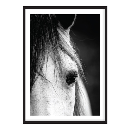 Horse Close-up Printed Wall Art | Temple & Webster