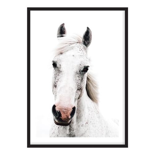 Dappled Printed Wall Art