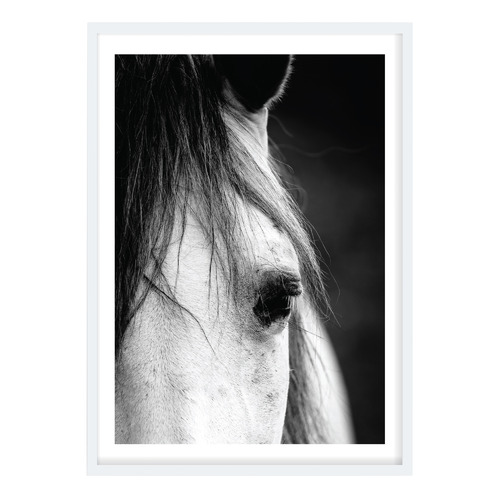 Horse Close-up Printed Wall Art
