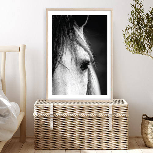 Horse Close-up Printed Wall Art
