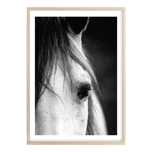 Horse Close-up Printed Wall Art