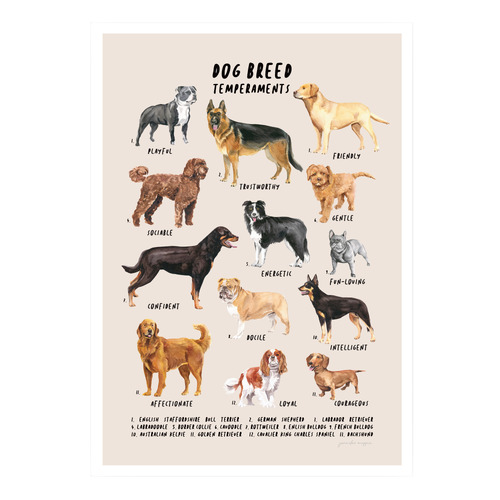 Dog Breed Personalities Framed Printed Wall Art