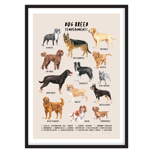 Dog Breed Personalities Framed Printed Wall Art