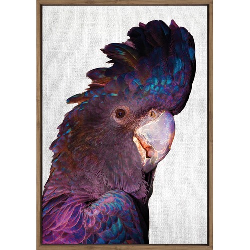 Art Illusions Curious Cocky Canvas Wall Art & Reviews Temple & ster