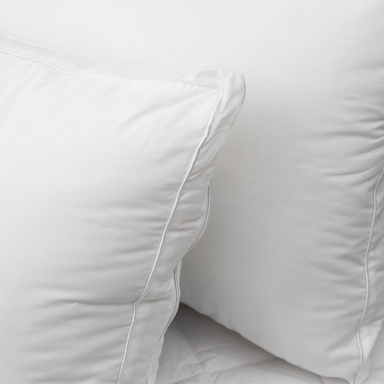 Allergy & Asthma Sensitive Cotton Medium Pillows