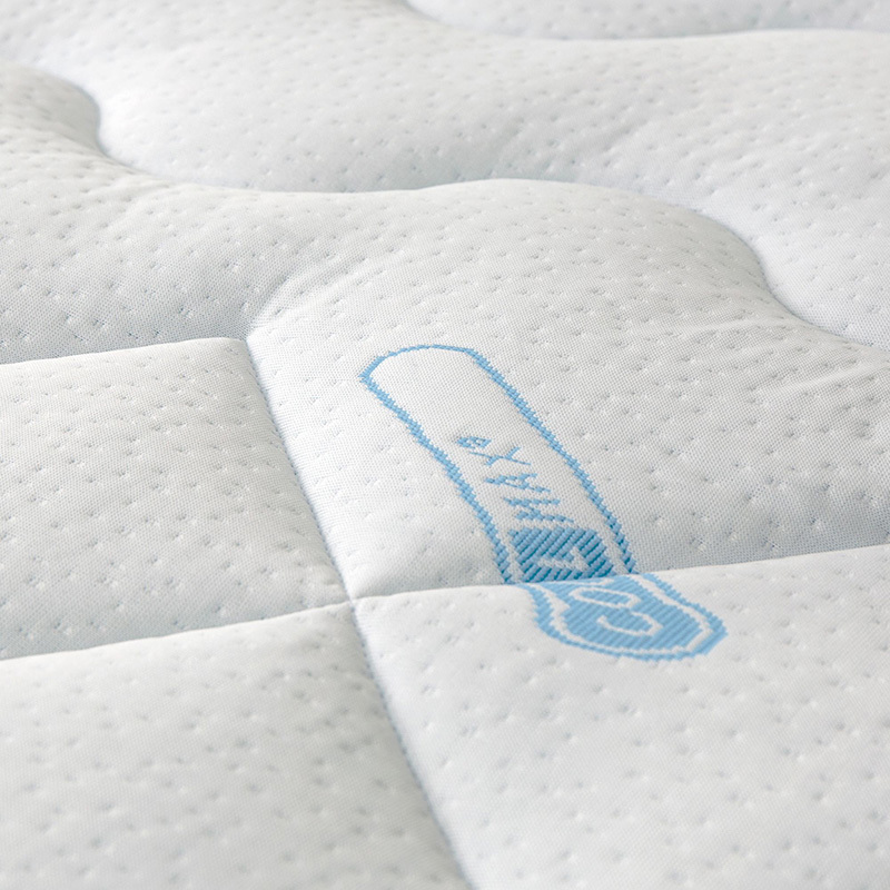 Coolmax Reversible Quilted Mattress Topper