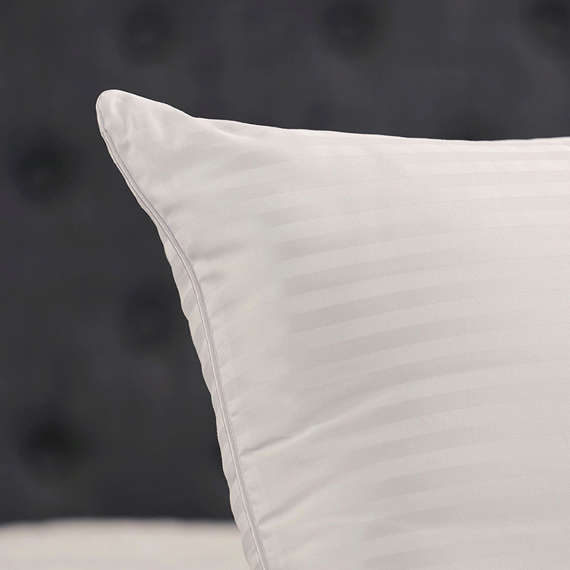 Luxury Hotel Medium Standard Pillows