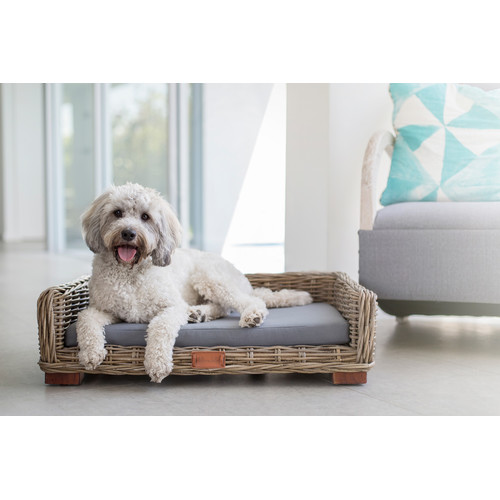Barkley and Bella Grey Wicker Dog Lounge | Temple & Webster