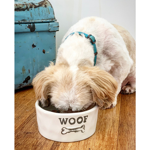 Small Woof Ceramic Dog Bowl