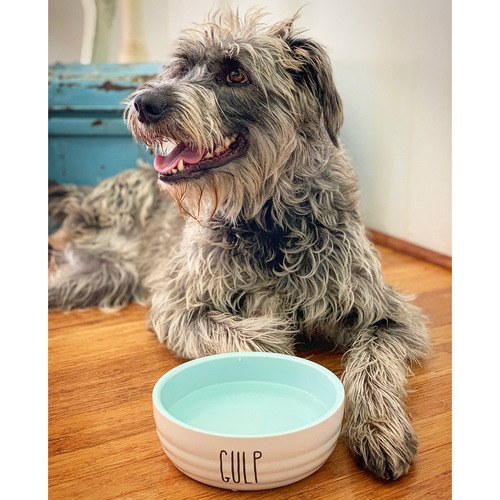 Gulp Ceramic Dog Bowl