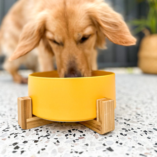 Zen Bamboo Dog Bowl Stand