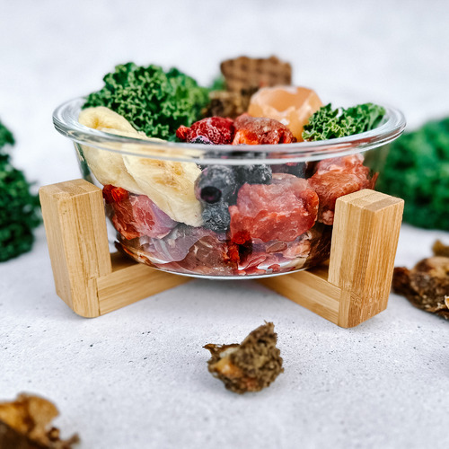 Ecoglass Dog Bowl