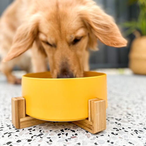 Barkley and Bella Zen Ceramic Dog Bowl Temple Webster