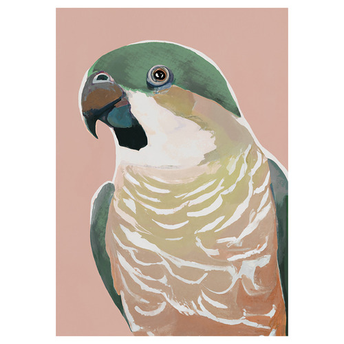 Prasine Cocky Canvas Wall Art