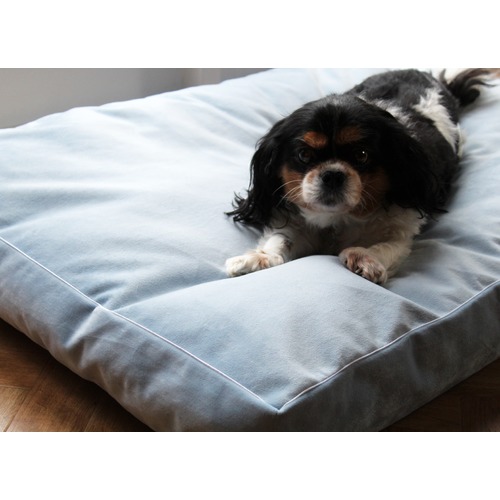 modern luxe pet carrier