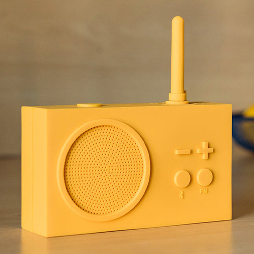 Thykho Portable FM Radio & Bluetooth Speaker