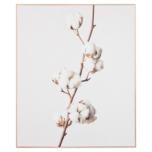 The Print Academy Cotton Stem Framed Canvas Wall Art & Reviews Temple & ster