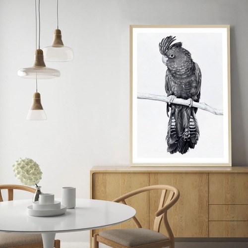Black Cockatoo Printed Wall Art Temple & ster