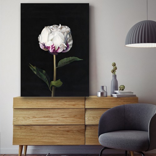 Peony Printed Wall Art | Temple & Webster