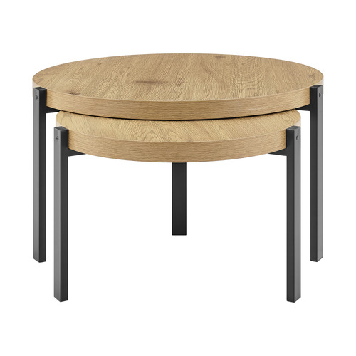 2 Piece Dillon Nesting Coffee Table Set