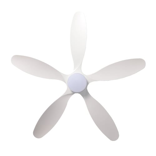 Winona 132cm AC Smart Ceiling Fan with Remote Control & LED Light