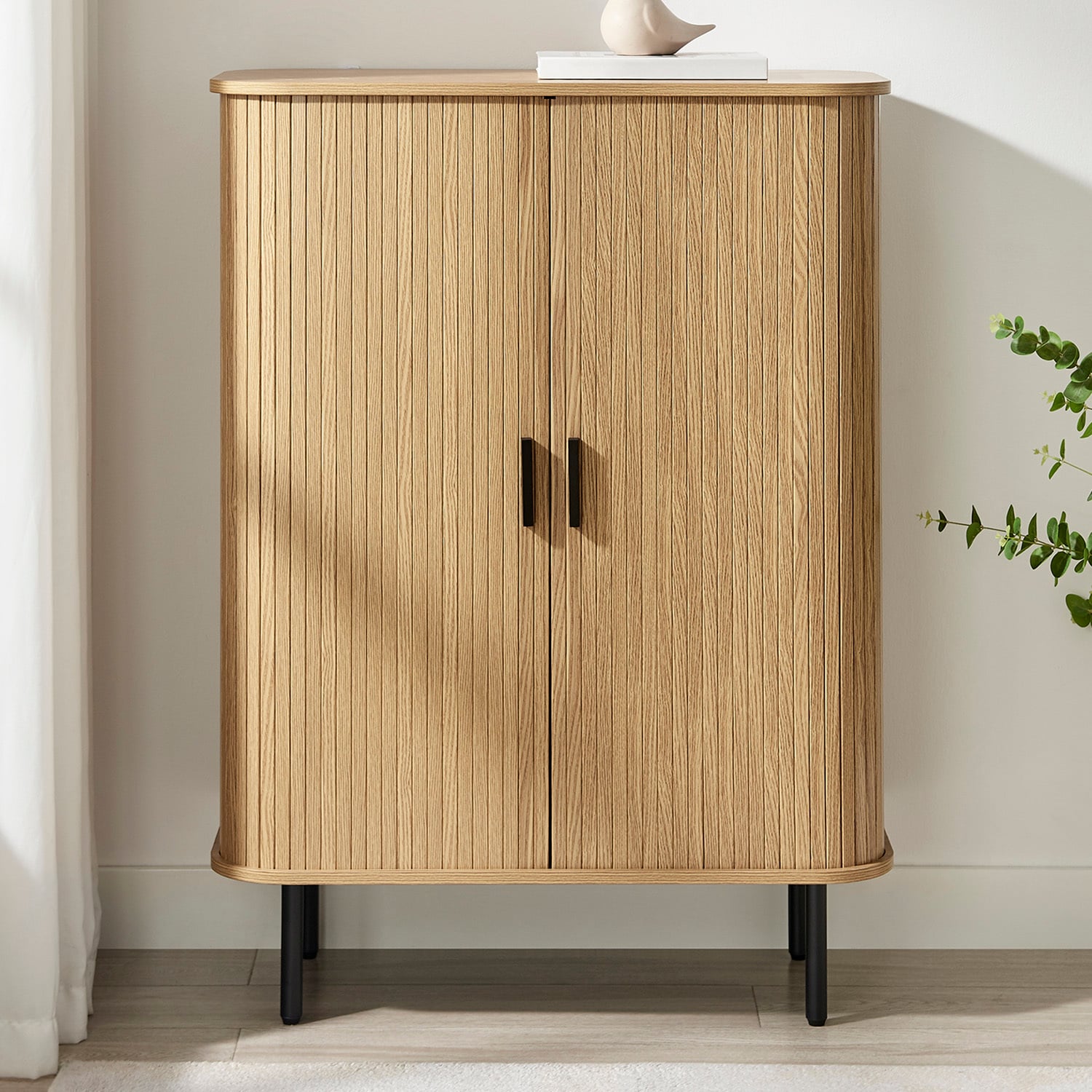 Callix 2 Door Shoe Cabinet