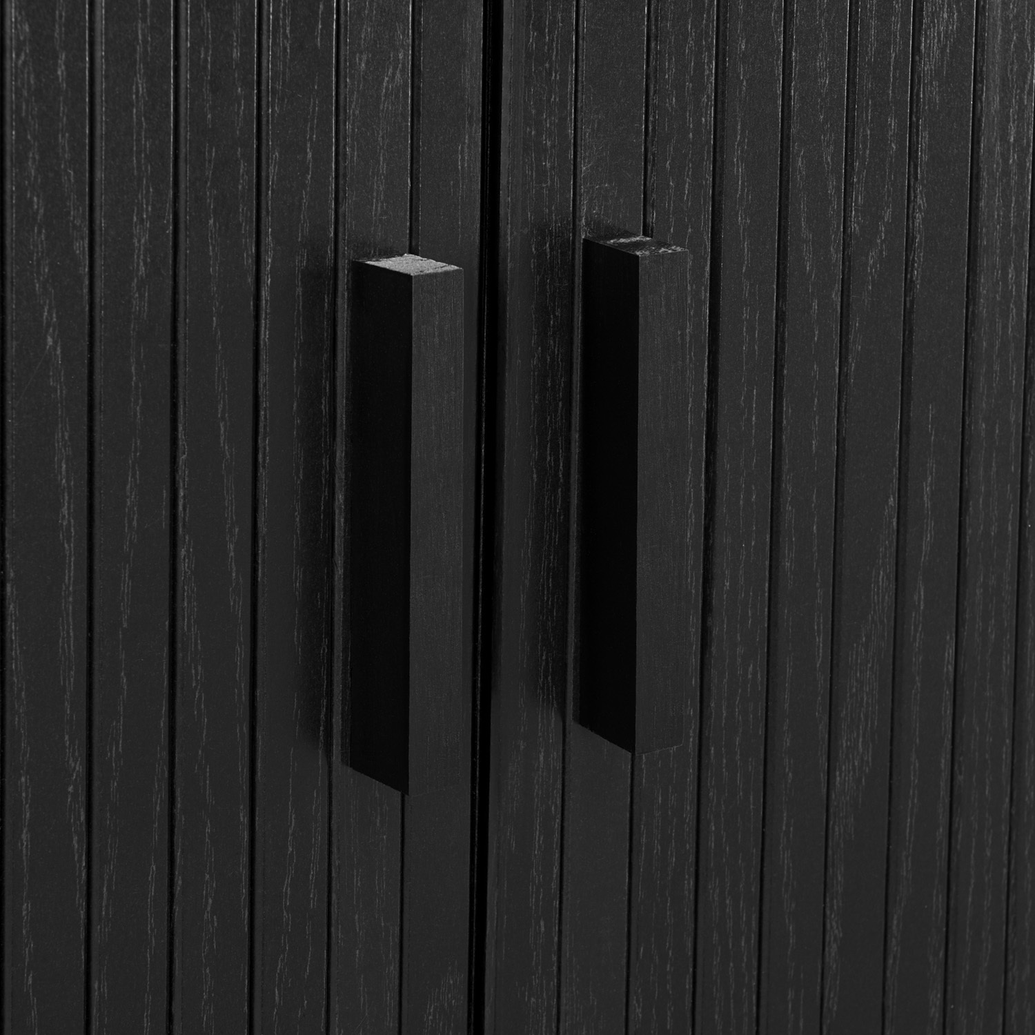 Callix 2 Door Shoe Cabinet
