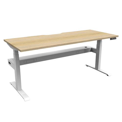 Baldwin II Electric Sit & Stand Desk with Cable Tray