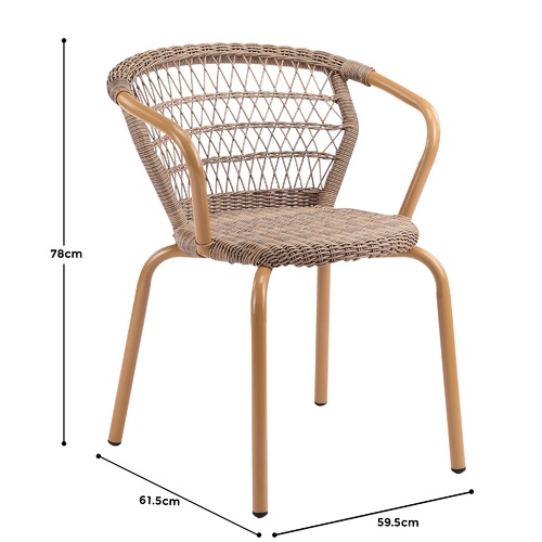 Temple & Webster Brown Raffles PE Rattan Outdoor Dining Chairs