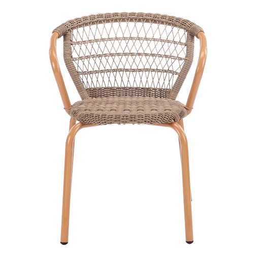 Temple & Webster Brown Raffles PE Rattan Outdoor Dining Chairs