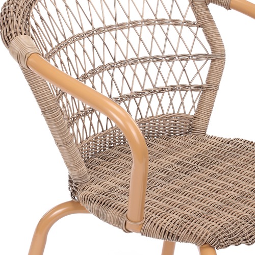 Temple & Webster Brown Raffles PE Rattan Outdoor Dining Chairs