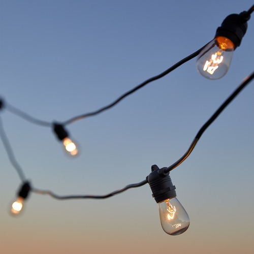 Temple & Webster Outdoor Festoon Lights
