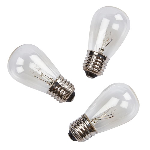 Temple & Webster Outdoor Festoon Lights
